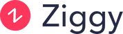 Ziggy - Marketing Analytics Software